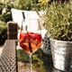 Weißensee Hotel Gasthof Erholung Urlaub Sommer Gen Weißensee Hotel Gasthof Erholung Urlaub Sommer Gen
